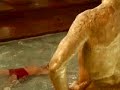 La Culture est en Nous - La Piscine