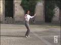 40 postures style yang traditionnel, Ecole Eric Caulier
