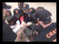 Tee Ball Girls and Basketball Sports Camp