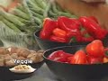 The Hippy Gourmet TV Show