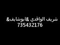 السيل 20090725