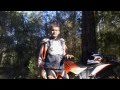 Pre-Jumping Logs Riding Tip