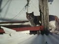??