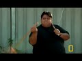 Obesity Obesity