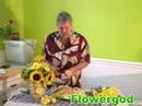 Whipcream Carnation Pie EP#44