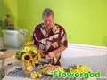 Whipcream Carnation Pie EP#44