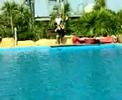 Moro e il bunjee jumping dell'aqualandia!!!!!!!!!!
