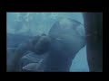 Cannibal Holocaust Redux