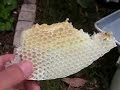 Moving a Honey Bee Hive Moving a Honey Bee Hive