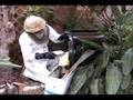 Moving a Honey Bee Hive