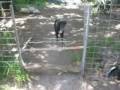 videos de Lucy Jumping