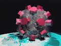 The Papilloma Virus