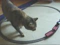 Horrible Train Crash
