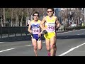 2016 大阪ハーフマラソン 20km地点 トップ→野口みずき選手→120分ペースのランナーまで 加藤まみ