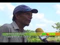 Corregimientos Aledaños a monteria no tienen suministros de agua potable Corregimientos Aledaños a monteria no tienen suministros de agua potable