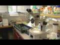 The World According to Monsanto || High Quality || Part 9 of 10 ||