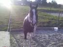 Aqualy & savane
