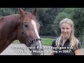 Paarden Begrijpen - Marijke de Jong