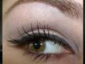 CASUAL BASIC SMOKEY EYE w/neutrals & purple