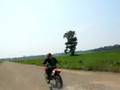 honda cr 125