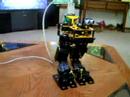 roboparot routine