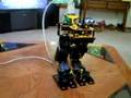 roboparot routine
