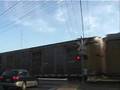 Taylor Ave Complilation