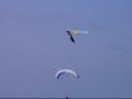 Hang Gliding- Torrey Pines, CA
