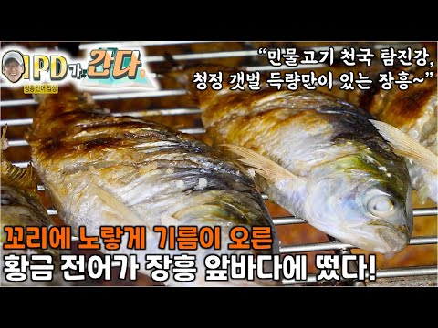 이 PD가 간다: 민물고기 천국 탐진강, 청정 갯벌 득량만이 있는 장흥, 가을 황금전어 잡으러 장흥 앞바다로~[2TV 생생정보] | KBS 220831