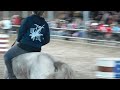 PonyparkCity Collendoorn Harley2