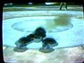 videos de [PBR] Random NFE's lose