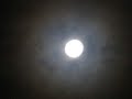 SAHARA DUST - CRY FOR THE MOON