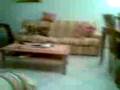 videos de cocker espaniel wendy che gioca con mattia