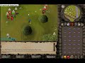 Runescape_ tweebz2 - I S0n1c I