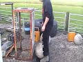 AlphaMuscles 130 kg stone 1,4 m