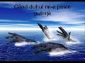 DOAR O RUGACIUNE versuri de FLAVIUS LAURIAN DUVERNA