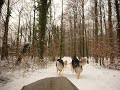 training janvier traineau 004.mov