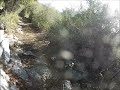 Mt Wilson Trail - Top first section of the trail