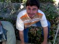 Video001.3gp