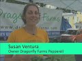 SunCast: Westford artist; Civil War