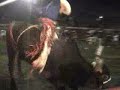JARIPEO RANCHERO