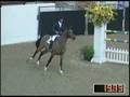 videos de Richard Spooner Jumper