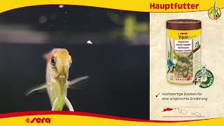 Vipan Nature XL 1L