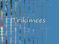 Trikimees