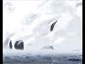 Gravity : wolf\