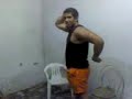 Ricardo o dassarino doido