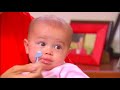 Genetically Modified Foods Safe