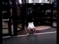 Roatating Door Hand Stand