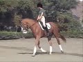 Phantom in the snaffle Phantom in the snaffle