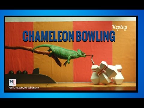 Random Blogging For Wednesday January 14th